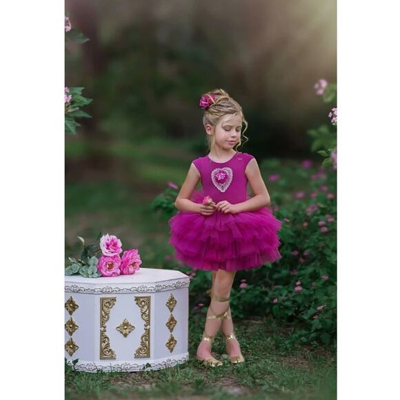 NWT Dollcake Dress Sugar Plum Tutu Leotard Set Girls Sz 7 Pink Floral Applique - Picture 1 of 15